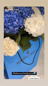 Roberto Bravo on Reels