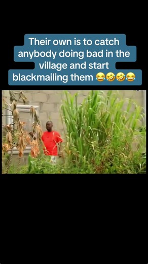 Nollywood Blackmailing Scenes Compilation