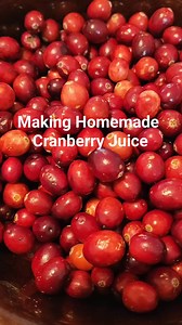307 reactions · 133 shares | Making homemade cranberry juice ❤️ this is such a beginner friendly recipe if you're starting your homesteading journey. 1 1/2 cups fresh Cranberries 1/2 sugar (optional) Water #cranberryjuice #diycranberryjuice #fruitjuice #homesteading #homesteadlife #cranberryrecipes #easyrecipes #canningandpreserving | Ellie Bagwell | Facebook