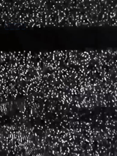 #HeyEstee | HeyEstee