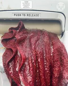 Washing dirty blankets with wringer washer Partner: speedqueen87 | Crafty Panda