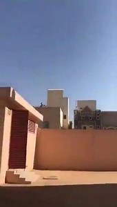 #Lion spotted on a roof of a building near a school in Tuwaiq district in #Riyadh, #Saudi Arabia | Arab Times Kuwait