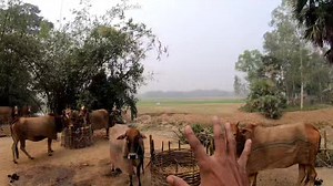 বাংলাদেশ ভারত বর্ডার দিকের এই গ্রাম গুলো ঘুরে দেখা উচিৎ ভ্রমণ পিপাসুদের। | Made In Bangladesh