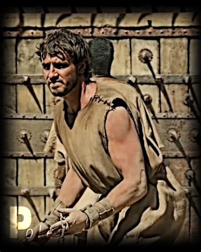 Rabid monkeys VS Gladiators /GLADIATORS 2 EDIT #gladiator #gladiator2 #rabidmonkey #shorts