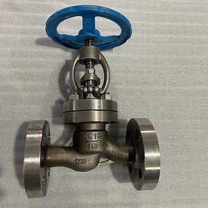 [Hot Item] Durable 1 Inch Stainless Steel Forged Globe Valve for Industrial Flow Control