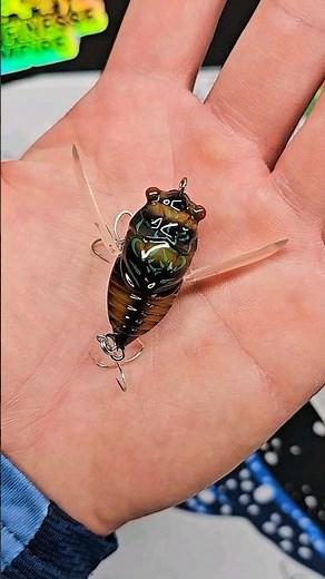 Tiemco Bass Fishing Cicada Origin - BFS Topwater Lure