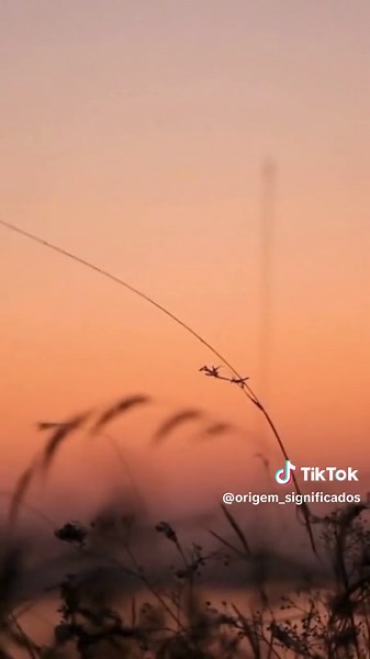 Significado e Origem do Nome Ester Maria