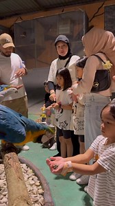 1.8K views | Feathers, fun, and fearless friends! Meet the stars of our aviary. Only at 99 Wonderland Park, Wildlife In The City | 99 WonderlandPark | Facebook