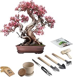 Bonsai Starter Kit – 1x Bonsai Tree | Complete Indoor Starter Kit for Growing Plants with Tools & Planters – Gardening Gifts for Women & Men