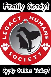 🐶 Meet the Summer Crew – Hammock, Beach, Vacation & Balmy! 🐶 These four adorable Rat Terrier × Basenji puppies—Hammock (male), Beach (female), Vacation (female), and Balmy (female)—were born in a loving foster home after their mom Summer was rescued from the shelter. Now thriving, these sweet siblings are ready to bring endless joy to a family of their own! legacyhumanesociety.org 7 m.facebook.com 7 toolkit.rescuegroups.org 7 instagram.com ✨ Why they’re special: 🎂 Rescued and raised with love