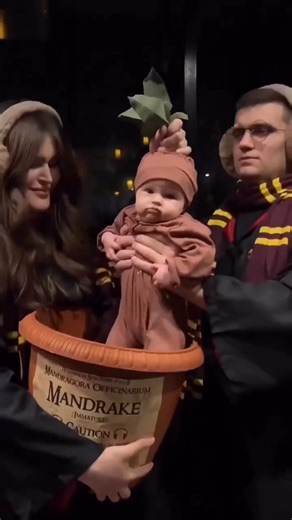 The cutest mandrake 🌱🥰 Cr: instagram.com/potterr.memes #harrypotter #harrypottercosplay #mandrake #mandrakecosplay #kidcosplay #cutecosplay #cosplay | EZCosplay Costumes