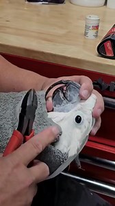 39K views · 144 reactions | Wait to the end to see the AFTER photo | The Kelly Ford | Facebook