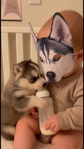 23K views · 688 reactions | Day of Fireworks on Reels | Facebook