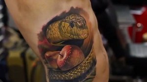 2.8K reactions · 291 shares | Check out this unbelievable #photorealistic snake tattoo by Q_tattoos #tattoodo | Tattoodo | Facebook