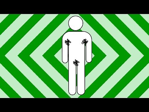 Why do we have Pubic Hair? | BRITLAB