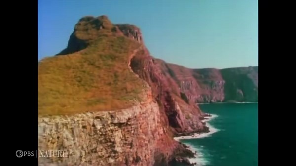Today marks the start of #HispanicHeritageMonth. Kick-off this rich cultural celebration with a trip to lands of Hispanic Heritage, courtesy of PBS Nature (ch. 1101) in our app: https://bit.ly/43yFvhG | Local Now
