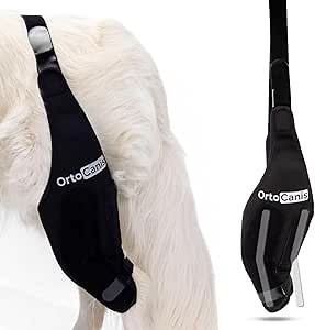 Ortocanis - Knee Immobilizer for Dogs - Right Leg Knee Brace - Injuries, Ligament Tears, Patellar Luxation, and Postoperative - With Side Splints - Made of Special Neoprene - Size: XXXS de 17 a 19 cm