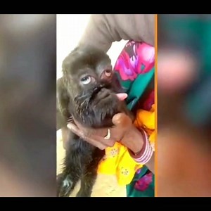 Mutant goat born with human-like face will be worshipped as an avatar of God in India | Freedom Fighters Upstate SC