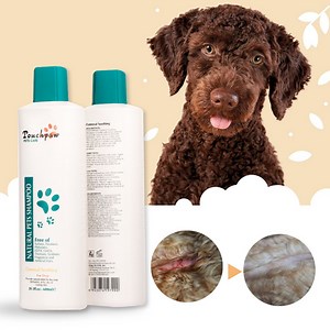 [Hot Item] Touchpaw Dog Shampoo 600ml Oatmeal Soothing Shampoo for Dry or Scaling Skin