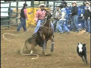 Teen Stomped By Bull