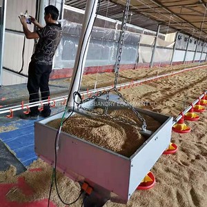 [Hot Item] Automatic Chicken Auger Feed System for Poultry Equipment