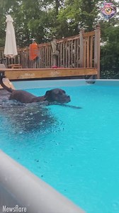 It's so hard to bring fidgety kids back home 😁 | 7-Second Riddles