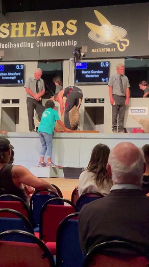 Golden Shears on Reels