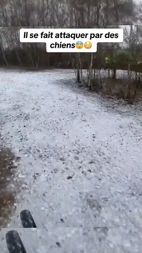 😳😨#adrenaline #vitesse #cops #police #officier #coolcops #biker #sensation #chicks #motorcycle #arrestationpolice #moto #dirtbike #amendes #manvsbiker #roadrage #anepasreproduire #speedsongs #motorcycle #dirtbike #dirtbikes #instamoto #instaadventure #dirt #bike #bikes #throttletherapy #braap #motoadventure #motorbike #woodsriding #dirtscooter #cool #rallyadventure #dualsportadv #advbike #advmoto #motoadv #motogate #adventure #advrider #rideon #gopro #gofast #goadventure #singletraavck #trail 