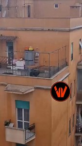 307K views · 15K reactions | Roma, cane tenuto da diverso tempo rinchiuso in gabbia stretta, oggi anche sotto la pioggia. Segnalato dai vicini diverse volte nessuno riesce ad intervenire per toglierlo ai padroni, l’animale si trova in via Val Senio 5. Chiediamo aiuto a chiunque possa darci una mano #youarethemedianow | Welcome to Favelas | Facebook