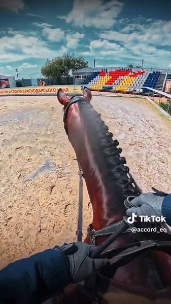 Проходим маршруты по-другому — шоу-джампинг POV с лошадью