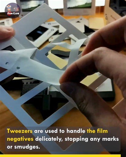 2.2M views · 10K reactions | From Film to Elegance: A Unique Transformation.️️ #filmphotography | Fun club | Facebook