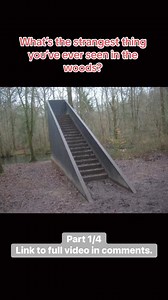 Search and rescue officer has #strange encounter in the woods. #rescue #rescued #searchandrescue #staircase #stairs #woods #lost #missing #found #paranormal #supernatural #cryptid #skinwalker | Campfire Stories