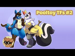 Pooltoy Transformation / Pooltoy TF #2