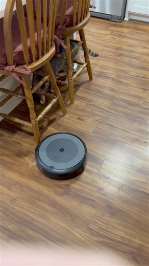 Tabasco - One Hot Chili Pepper on Reels