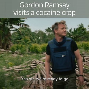 Shots are fired when Gordon and Colombian police visit a cocaine crop. Gordon Ramsay on Cocaine. Tonight 9pm, ITV. | ITV