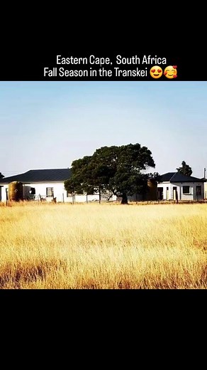 18 reactions | I absolutely love fall in South Africa. The blonde grass color is everything #autumn #fall #easternCape #southAfrica #landscapes | MamaDee Builds a House | Facebook