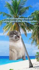 Need another vacation from your vacation? No problem with PayLater Travel! 😎🌴 Book with us today. #flightdeals #paylater #budgettravel #cheapflights #travelforless #lowcosttravel #luxuryonabudget #travelhacks #pointsandmiles #traveldeals #budgetflights #savingmoney #cheaptravel #budgettraveler #paylatertravel | Paylater Travel