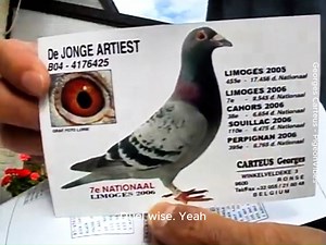 THROWBACK: The late Georges Carteus with a Japanese fancier, showcasing some of his birds. #fblifestyle | PigeonVibes