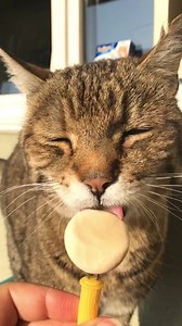 94K views · 989 reactions | += | Migros | Facebook