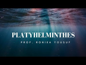 Platyhelminthes (flatworms)