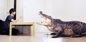 RATE VFX / れーと先生