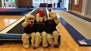 Aktiv sjov sommerferie i Sportscenter Danmark - Her er der noget for alle aldre. ☀ Tjek vores åbningstider henover sommerferien her: https://sportscenterdk.com/information/aabningstider/ VI SES 😎 | SportsCenter Danmark - Vejen Idrætscenter