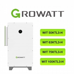 [Hot Item] Growatt Wit 63ktl3-H Wit 63ktl3-H-Ep MPPT on Grid Commercial & Industrial PV Solar Power AC-Coupled Inverters Price