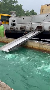 2.4K views · 29 reactions | Catfish Haven Pay Lake Bar and Grill on Reels | Facebook