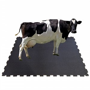 [Hot Item] Anti Slip Cow Cubicle Cattle Stable Mat Alley Milking Rubber Mat