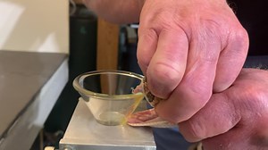 294K views · 771 reactions | One of fourteen puff adders ( Bitis arietans) extracted from today. | Kentucky Reptile Zoo | Facebook
