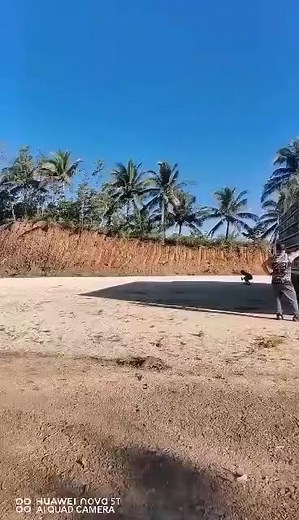 7am release at del gallego Godspeed mga warriors ko☝️😁 credit to cprc for this video. #2ndlapfunrace #DelGallego #escape #falcon #bazra524 #foysloft | Foy's Loft