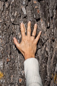 ¿Has dado un paseo alguna vez siendo consciente de todo lo que ocurría a tu alrededor? Activar lo sentidos te hará entrar en otra dimensión. Conecta con ello y luego conecta contigo. Disfruta de ese momento tan mágico. 𝙑𝙚𝙣 𝙖 𝙈𝙖𝙨𝙌𝙞. #BienestarHolístico #RetiroDeYoga #NaturalezaYSalud #MeditaciónEnEspaña #EscapadaConsciente #HolisticWellness #YogaRetreat #NatureHealing #MindfulnessJourney #WellnessTravel | Hotel Qi The Energy House