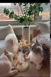 Cat Toys, Interactive Kitten Toys, Plush Ball with Feather for Indoor Cats Kitten Play