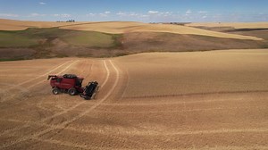 The CPS1410 Pivoting Spout for Case IH combines is now available for purchase! 🎖Designed as a stand-alone system for easy diagnostics ✅ Bottom discharge 14" augers ✅ Flagship & Midrange combines ✅ 37° of rotation Contact our sales team to place an order➡ 800-937-2461 #pivotingspout #OrderNow #callnow📞 #hillco #americanmade #farming #farmlife | Hillco Technologies Inc.
